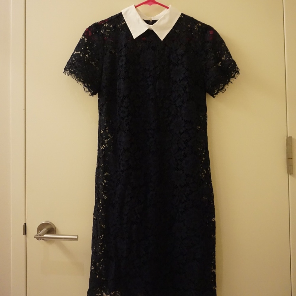 Michael Kors Navy Blue Collar Lace Dress